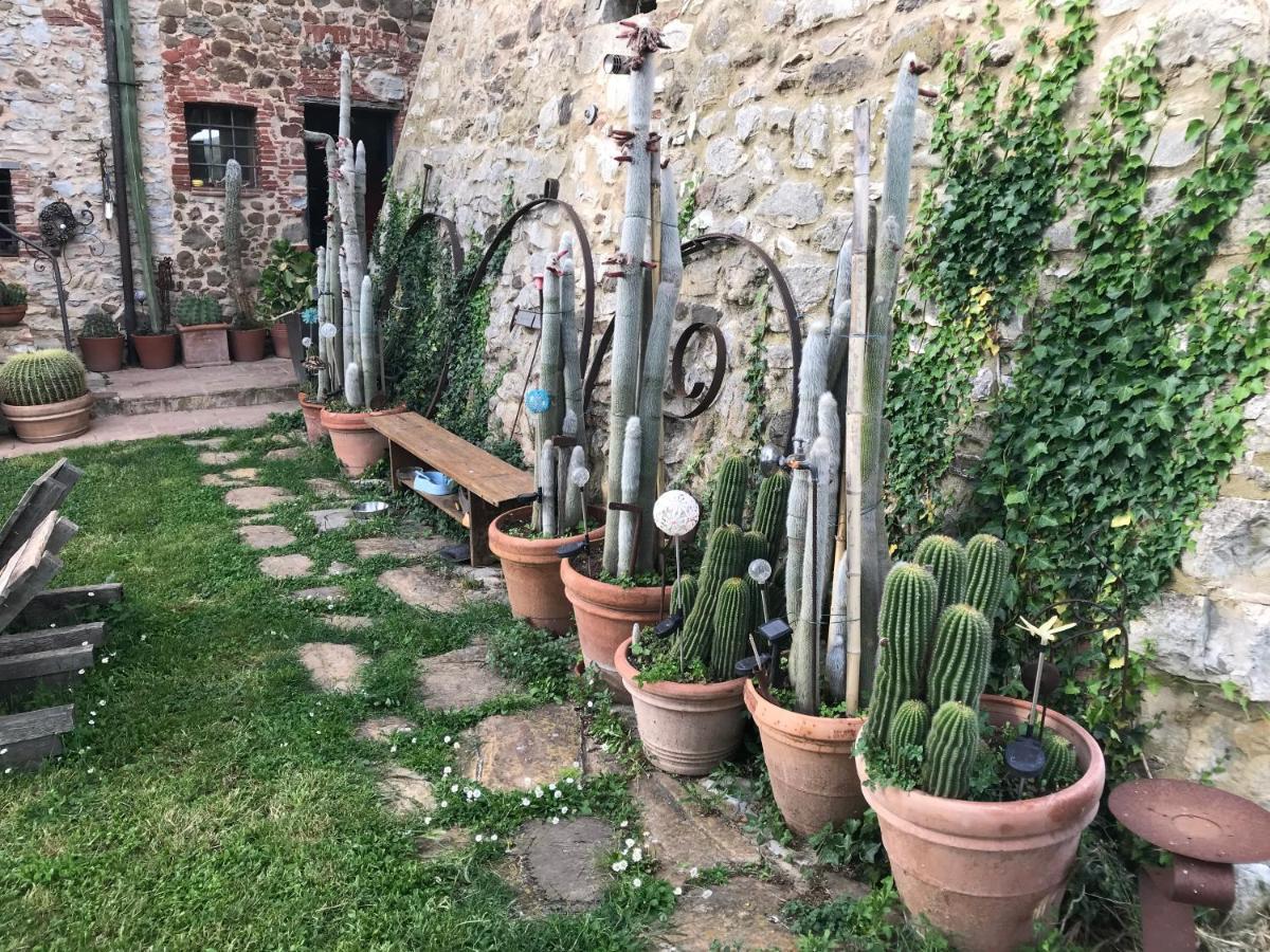 Case Di Vetulonia Castiglione della Pescaia Luaran gambar