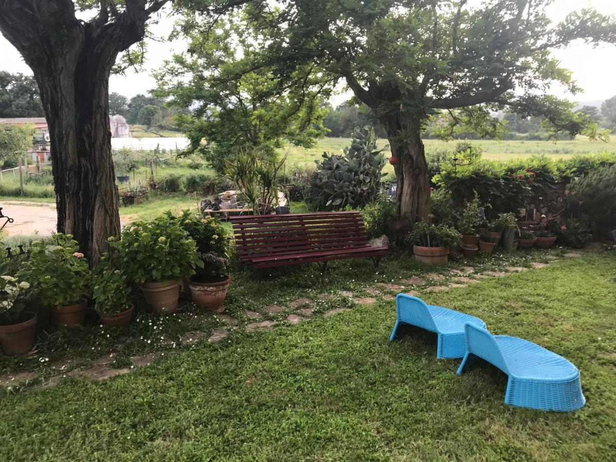 Case Di Vetulonia Castiglione della Pescaia Luaran gambar